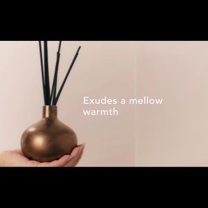 Pottery barn diffuser